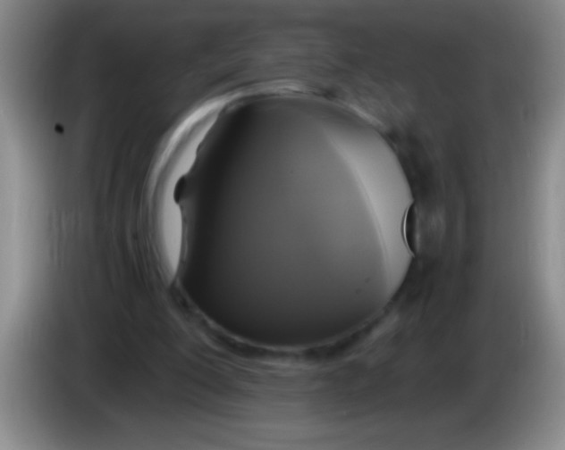 X0000084010200200703091934