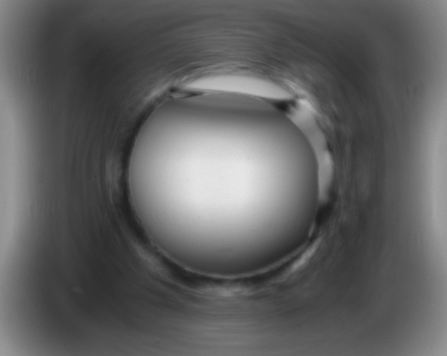 X0000084010201200703091934