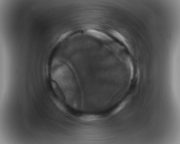 X0000084010205200703091934