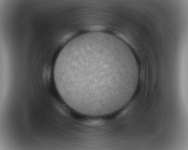 X0000084010206200703091934