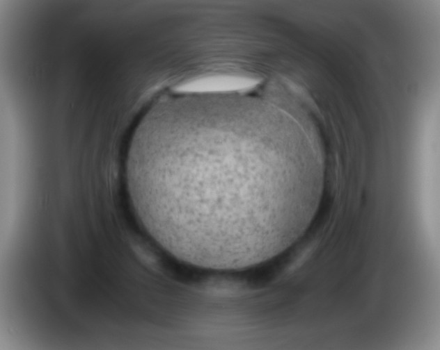 X0000084010207200703091934