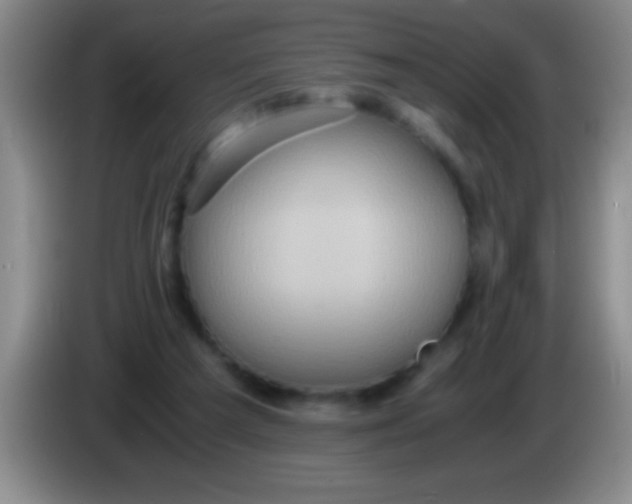 X0000084010209200703091934