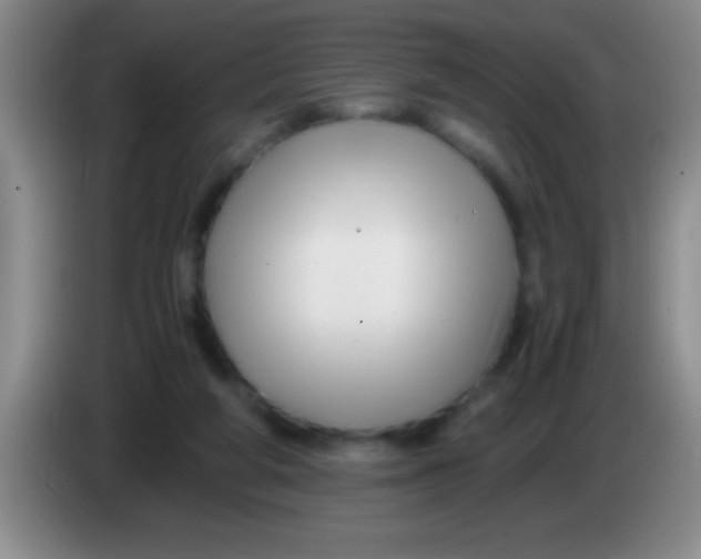 X0000084010210200703091934