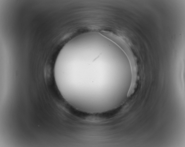 X0000084010211200703091934