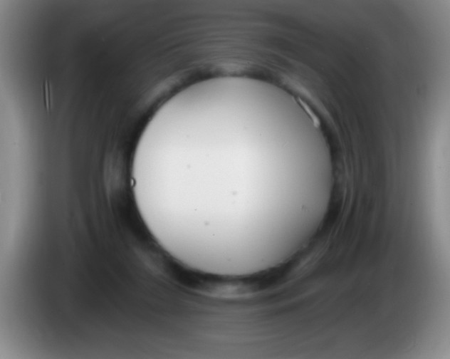 X0000084010212200703091934