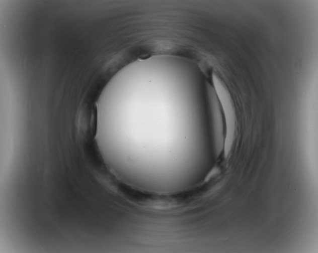 X0000084010215200703091934