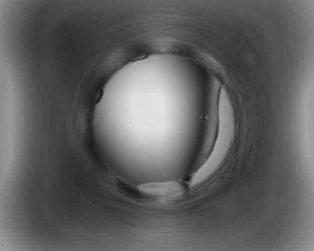 X0000084010217200703091934