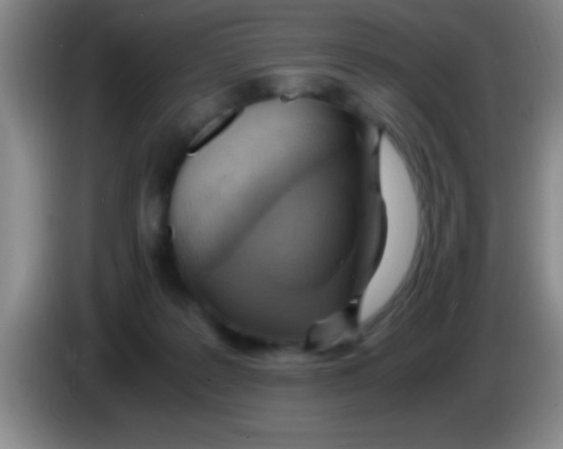 X0000084010219200703091934