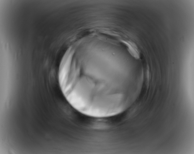 X0000084010222200703091934