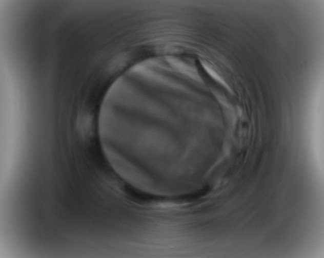 X0000084010224200703091934