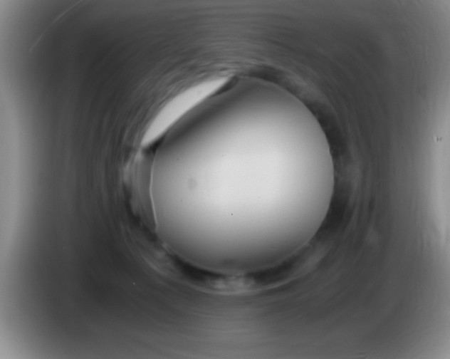 X0000084010225200703091934