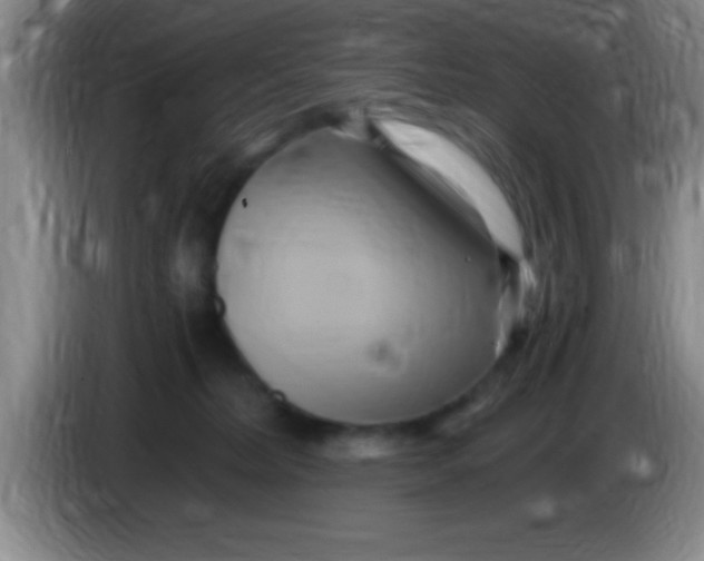 X0000084010228200703091933