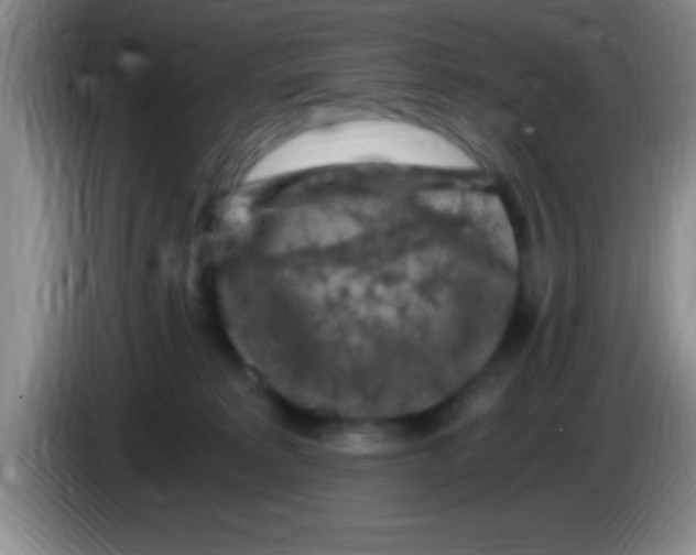 X0000084010229200703091933