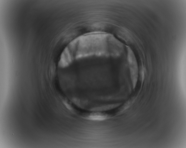 X0000084010231200703091933