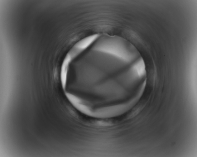 X0000084010232200703091933