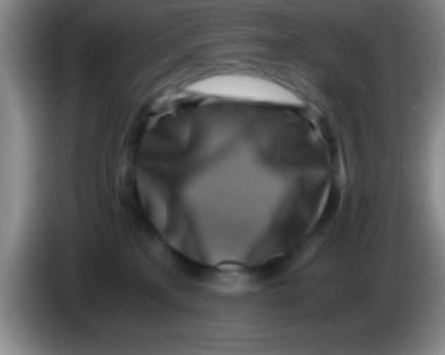 X0000084010233200703091933