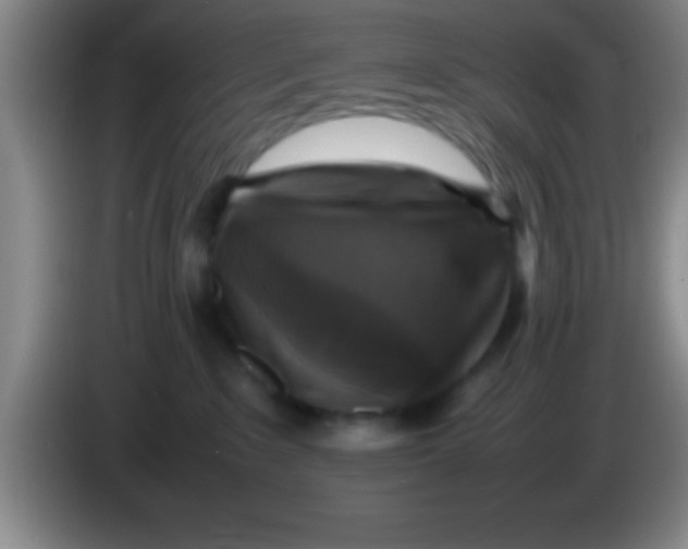 X0000084010235200703091933