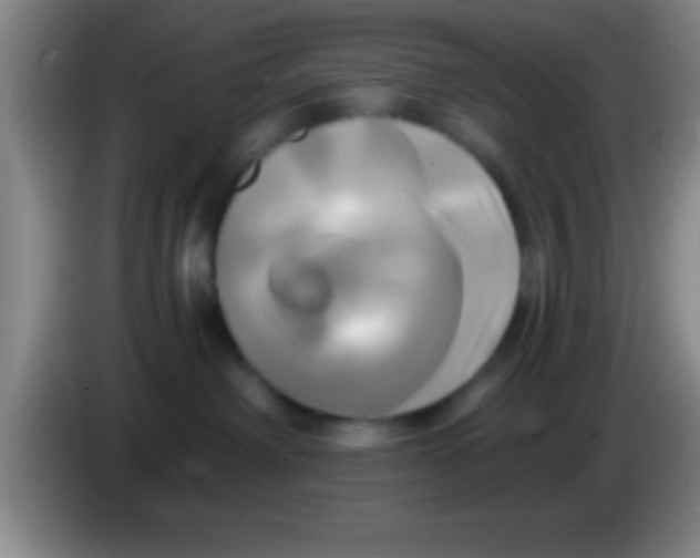 X0000084010238200703091933