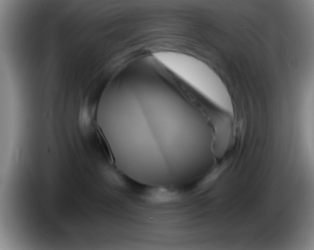 X0000084010239200703091933