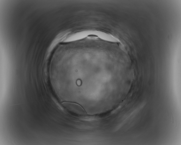 X0000084010245200703091933