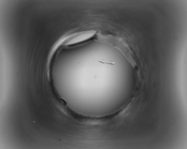 X0000084010246200703091933