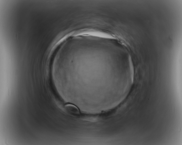 X0000084010247200703091933