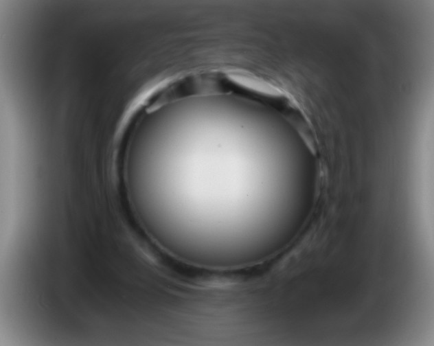 X0000084010248200703091933