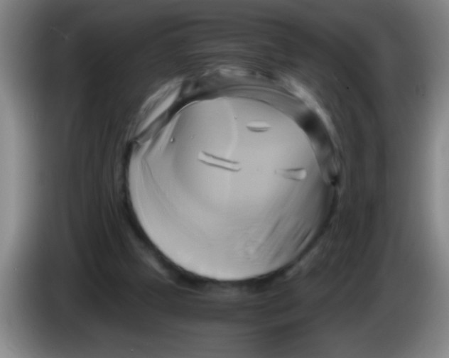 X0000084010249200703091933