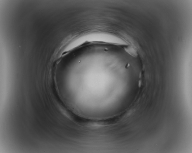 X0000084010250200703091933