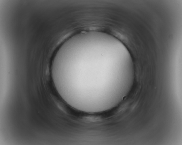 X0000084010251200703091933