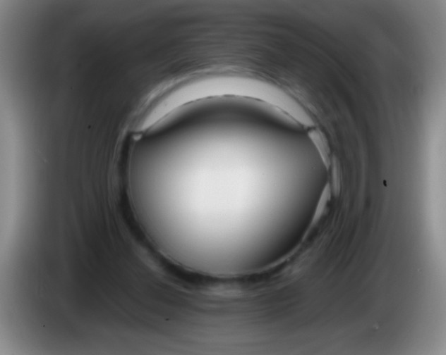 X0000084010252200703091933