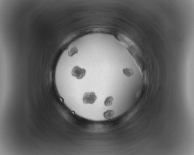 X0000084010253200703091933