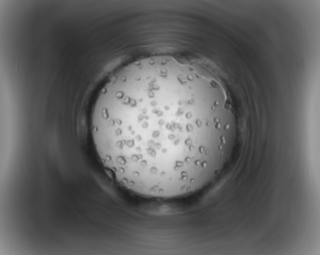 X0000084010254200703091933