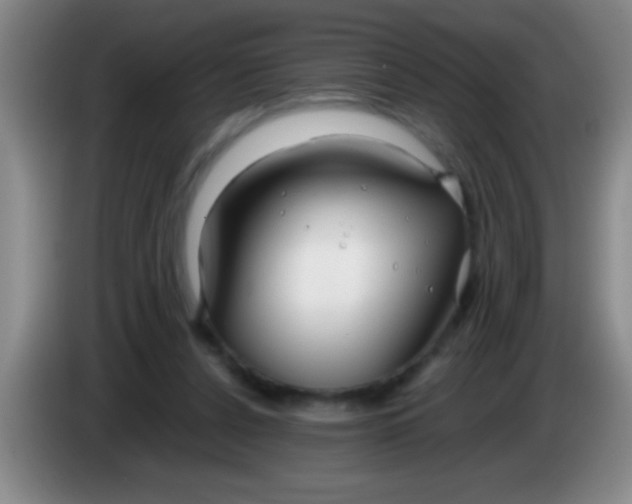 X0000084010256200703091933