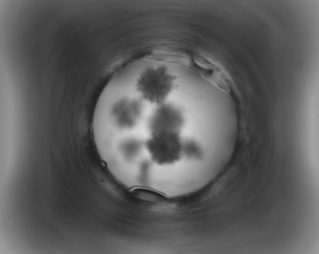 X0000084010257200703091933