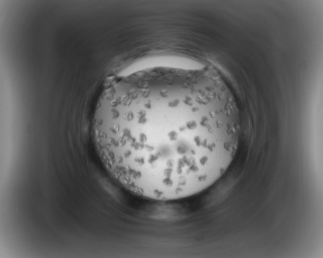 X0000084010261200703091933