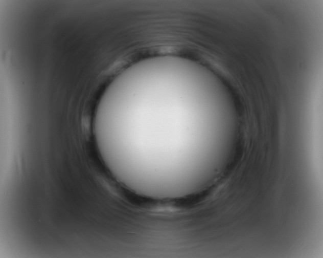 X0000084010262200703091933