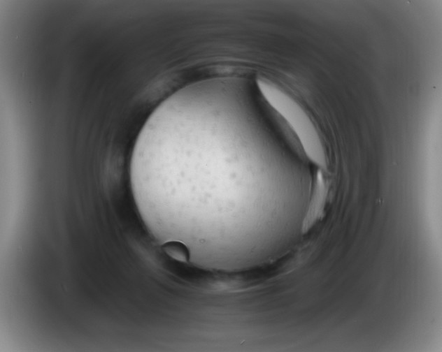 X0000084010263200703091933