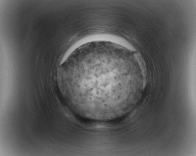 X0000084010264200703091933