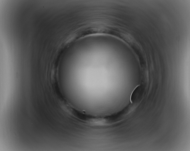 X0000084010266200703091933