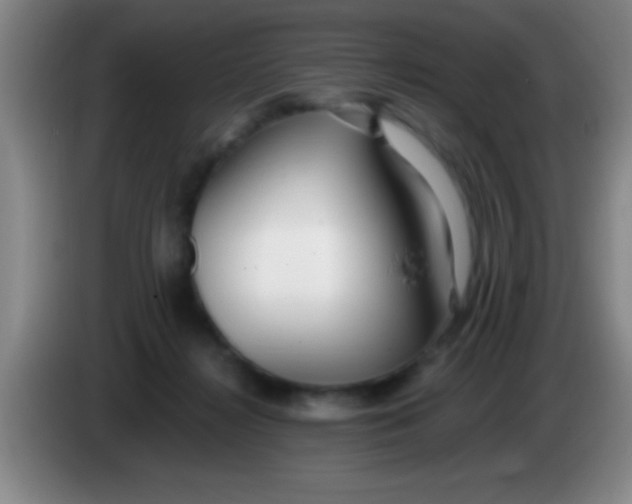 X0000084010268200703091933