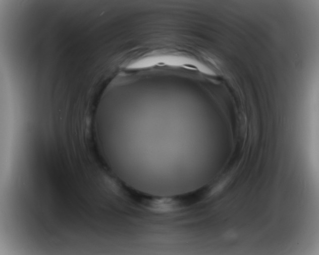 X0000084010269200703091933