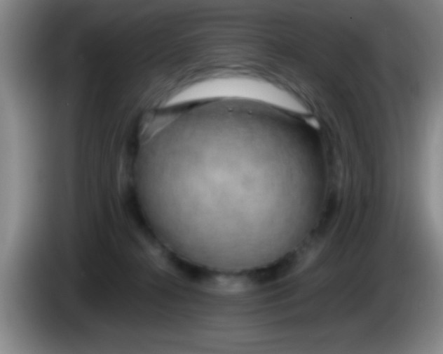 X0000084010272200703091933