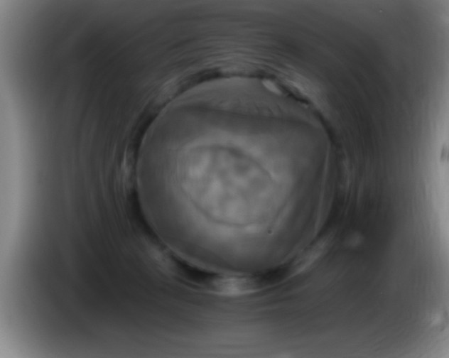 X0000084010273200703091933