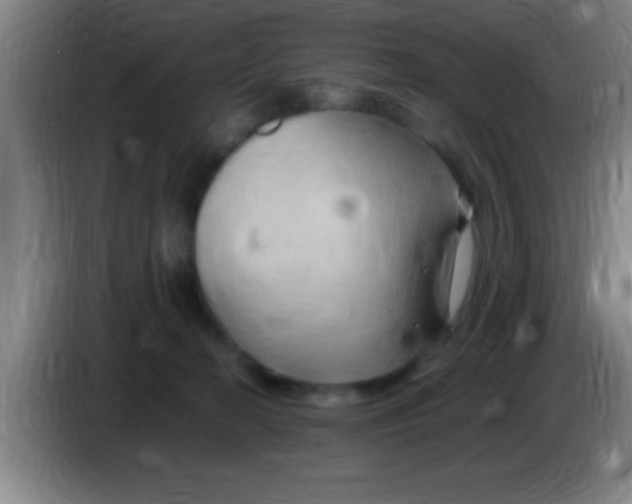 X0000084010274200703091933