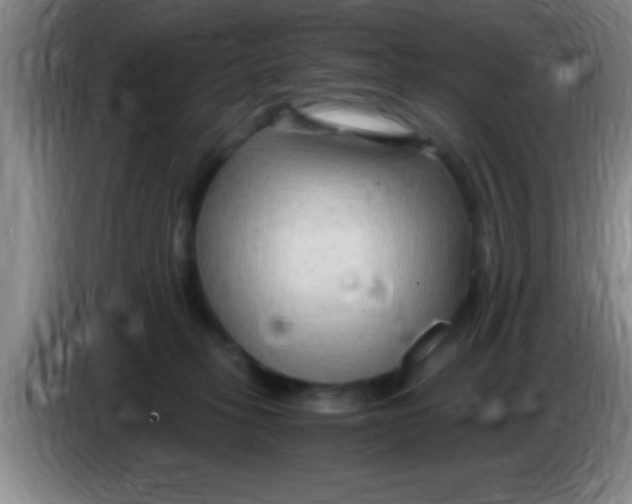 X0000084010275200703091933