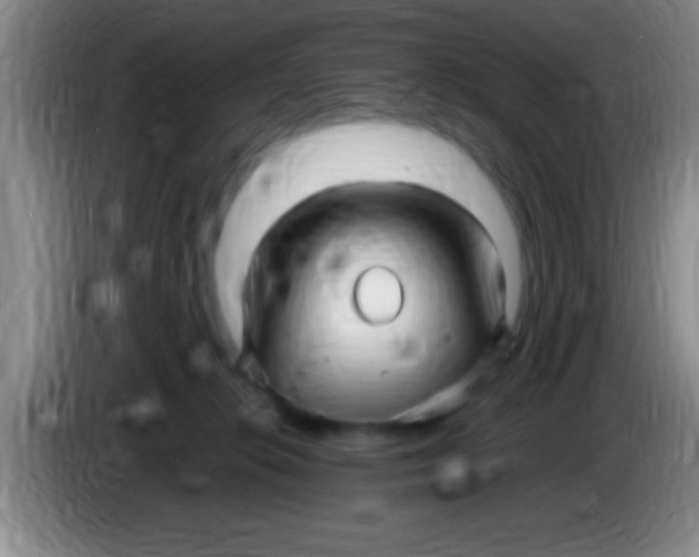 X0000084010276200703091933