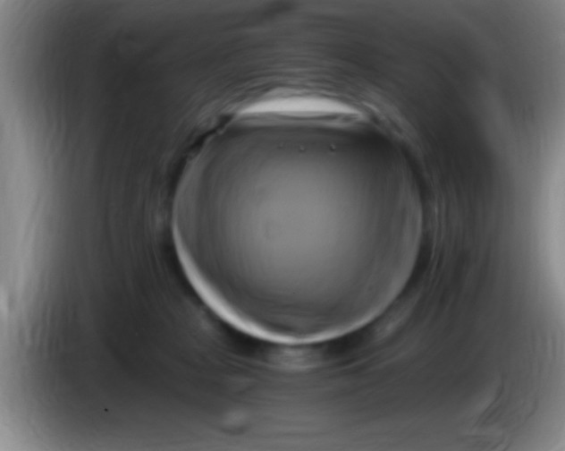 X0000084010277200703091933