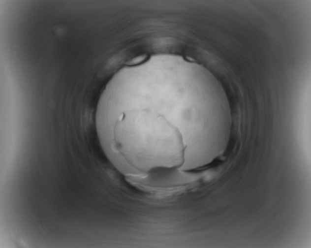 X0000084010278200703091933