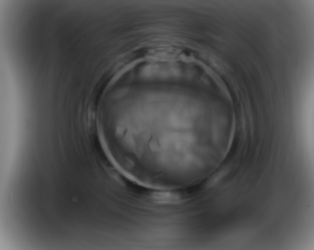 X0000084010281200703091933